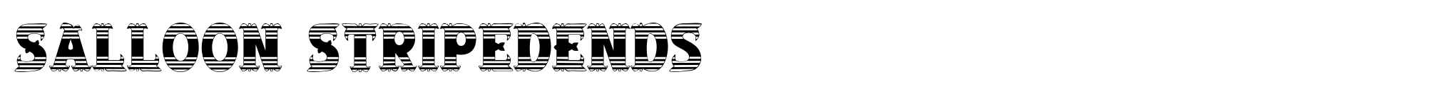 Salloon StripedEnds image